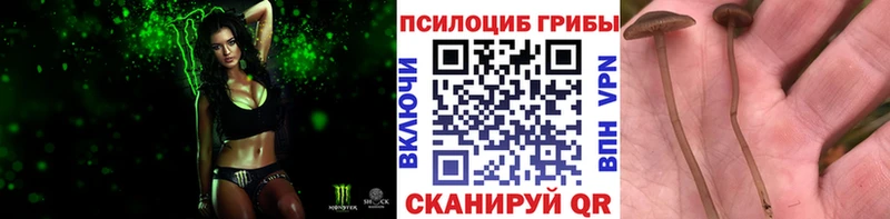 как найти закладки  hydra ссылки  Псилоцибиновые грибы прущие грибы  Санкт-Петербург 