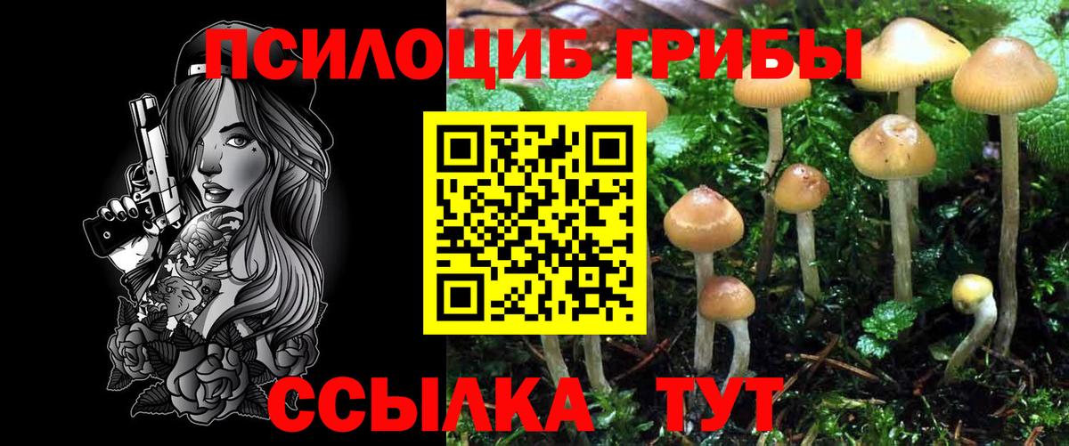 Псилоцибиновые грибы мухоморы  Вход с VPN  Санкт-Петербург 